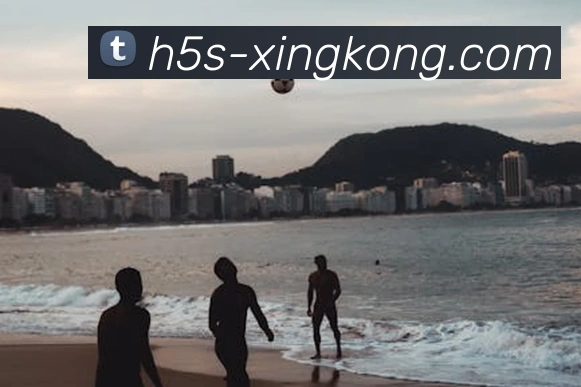 星空体育服务体系